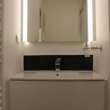 Apartment Appt 4 Pers Avec Parking Prive Gratuit *